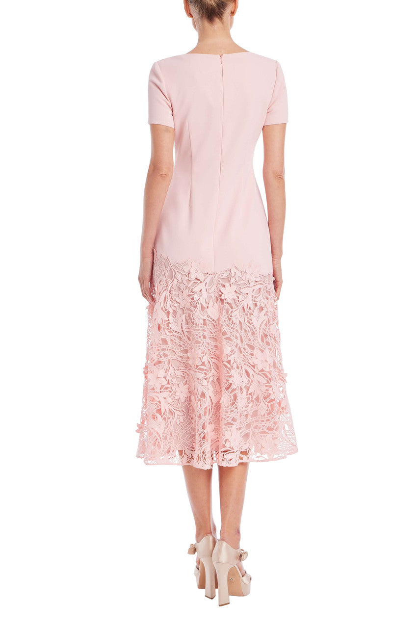 badgley-mischka-a-linie-kleid-midikleid-blush-spitze-kurzarm image 3