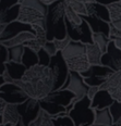 badgley-mischka-floral-guipure-gown-schwarz-samt image 6